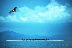 borneo, sabah, near sipadan island, Nik-F90-
COMPOSING-e... by Manfred Bail 